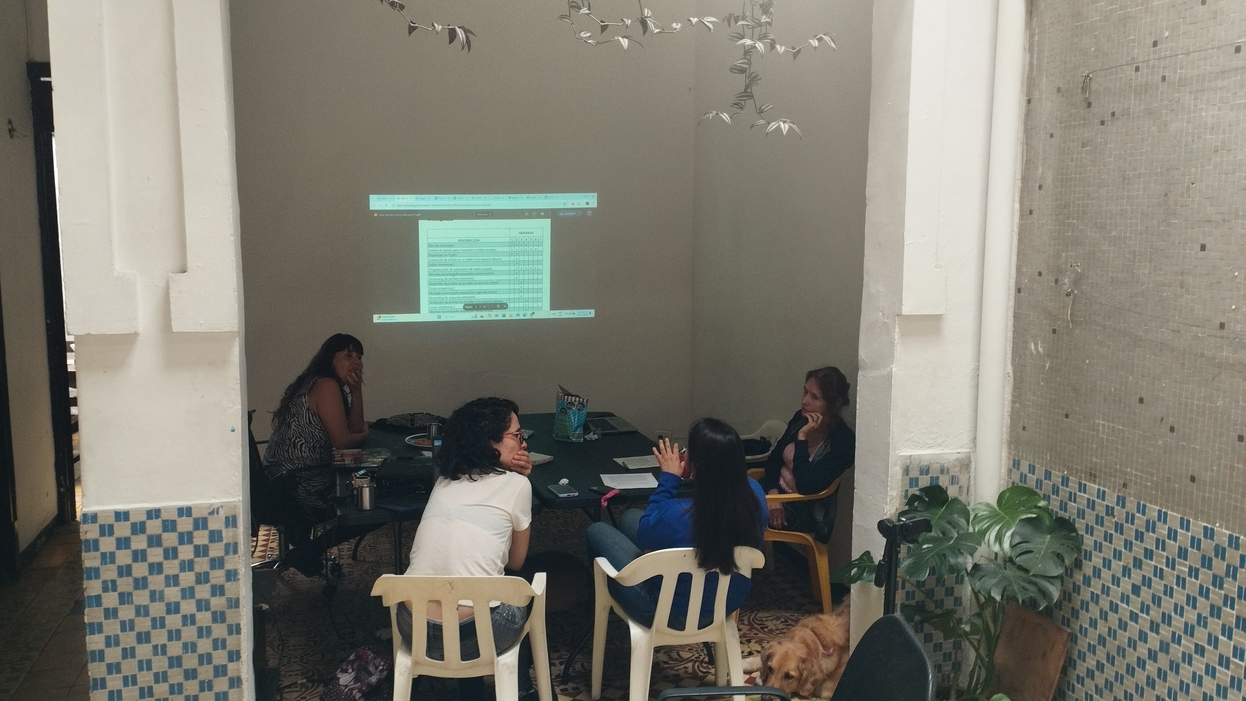 Imagen de la actividad